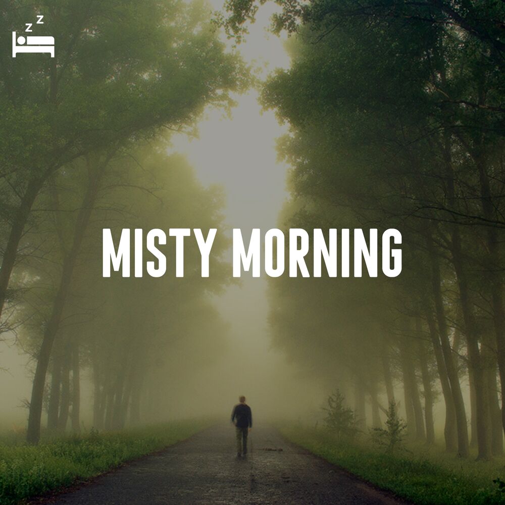 Picture of Misty Morning