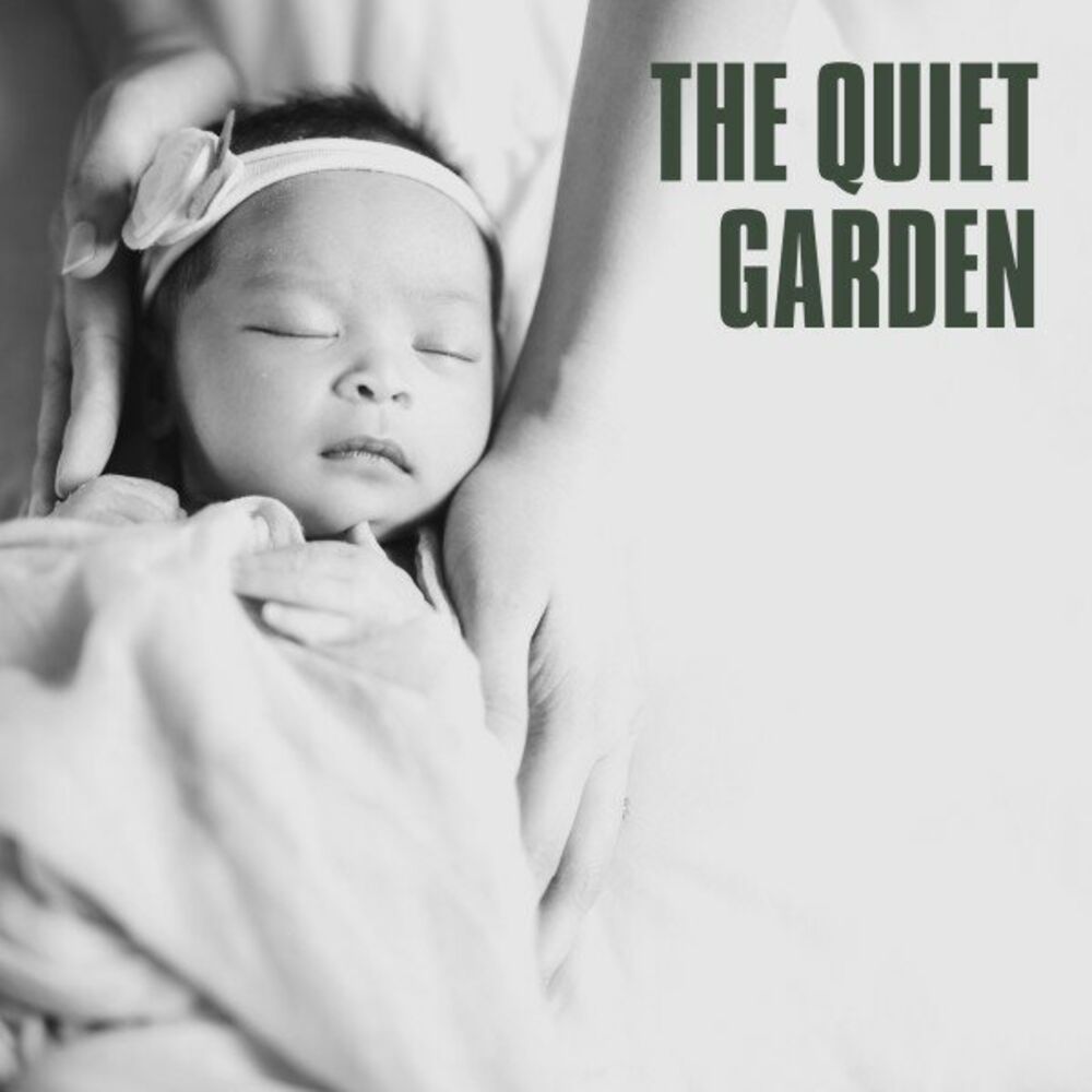 Picture of The Quiet Garden