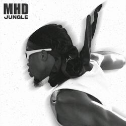 Cover of Jungle