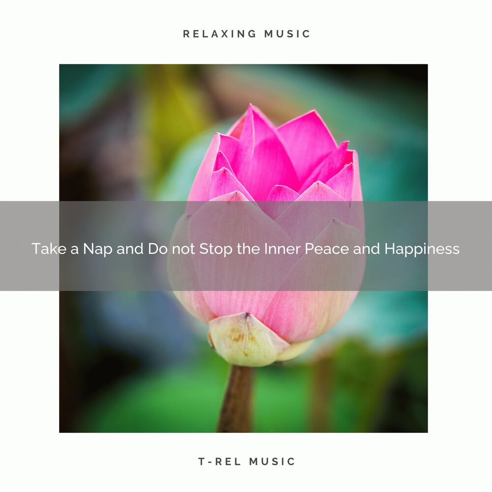 Picture of Take a Nap and Do not Stop the Inner Peace and Happiness