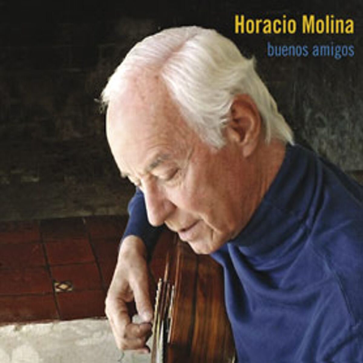 Album cover of Buenos Amigos