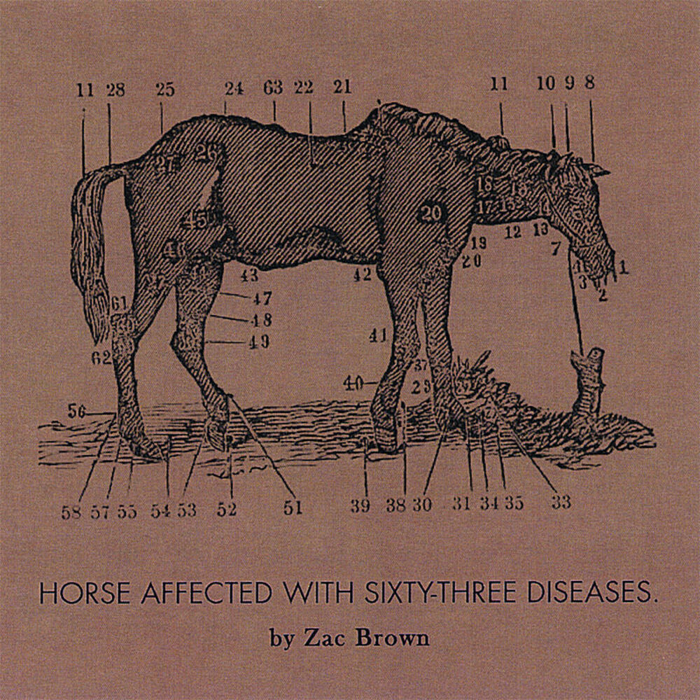 Picture of Ride The Sick Horse