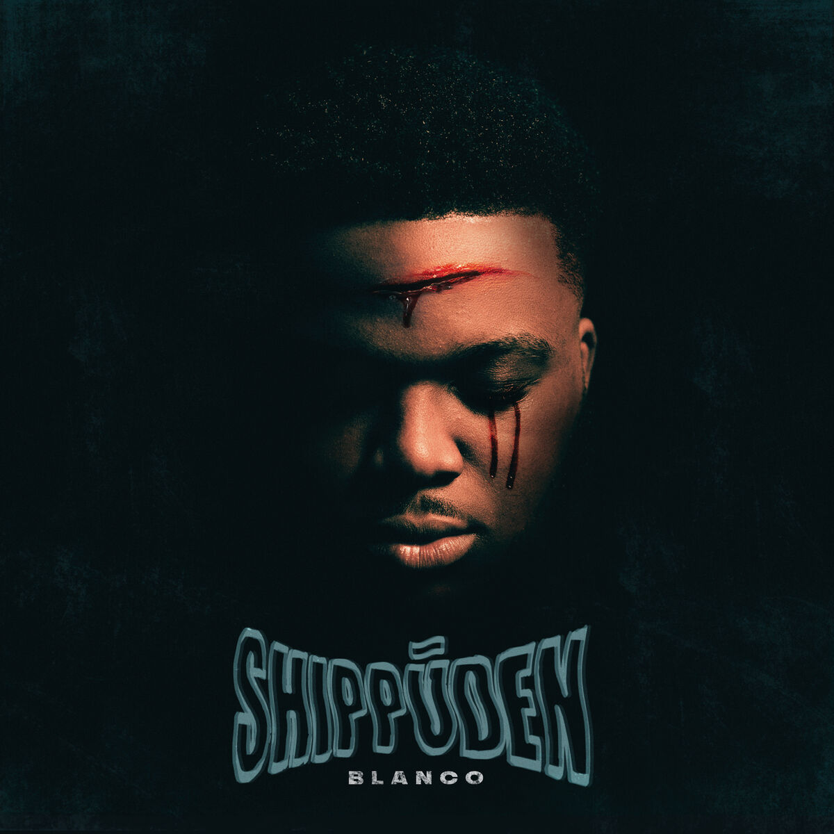 Album cover of Shippūden