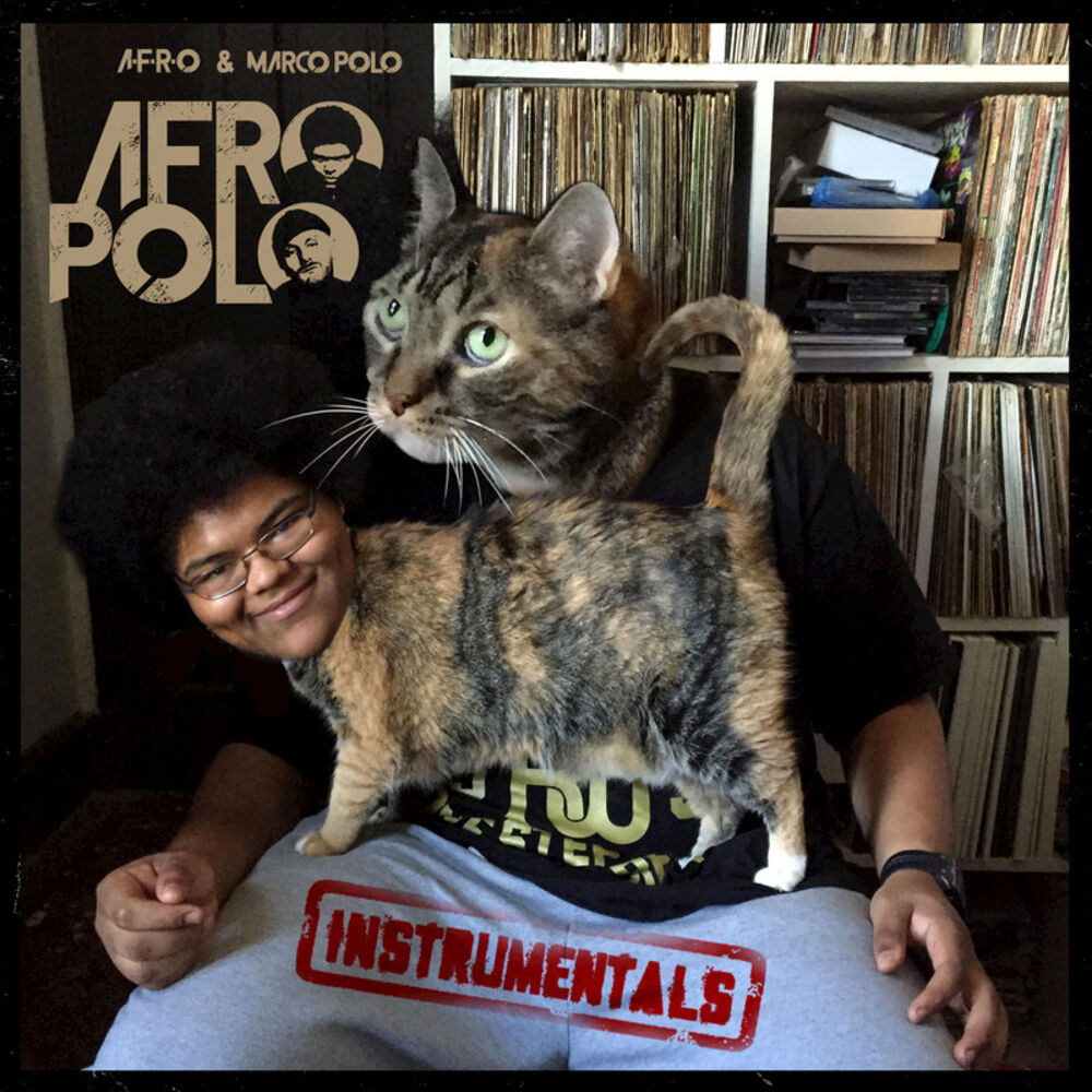Picture of A-F-R-O Polo (Instrumentals)
