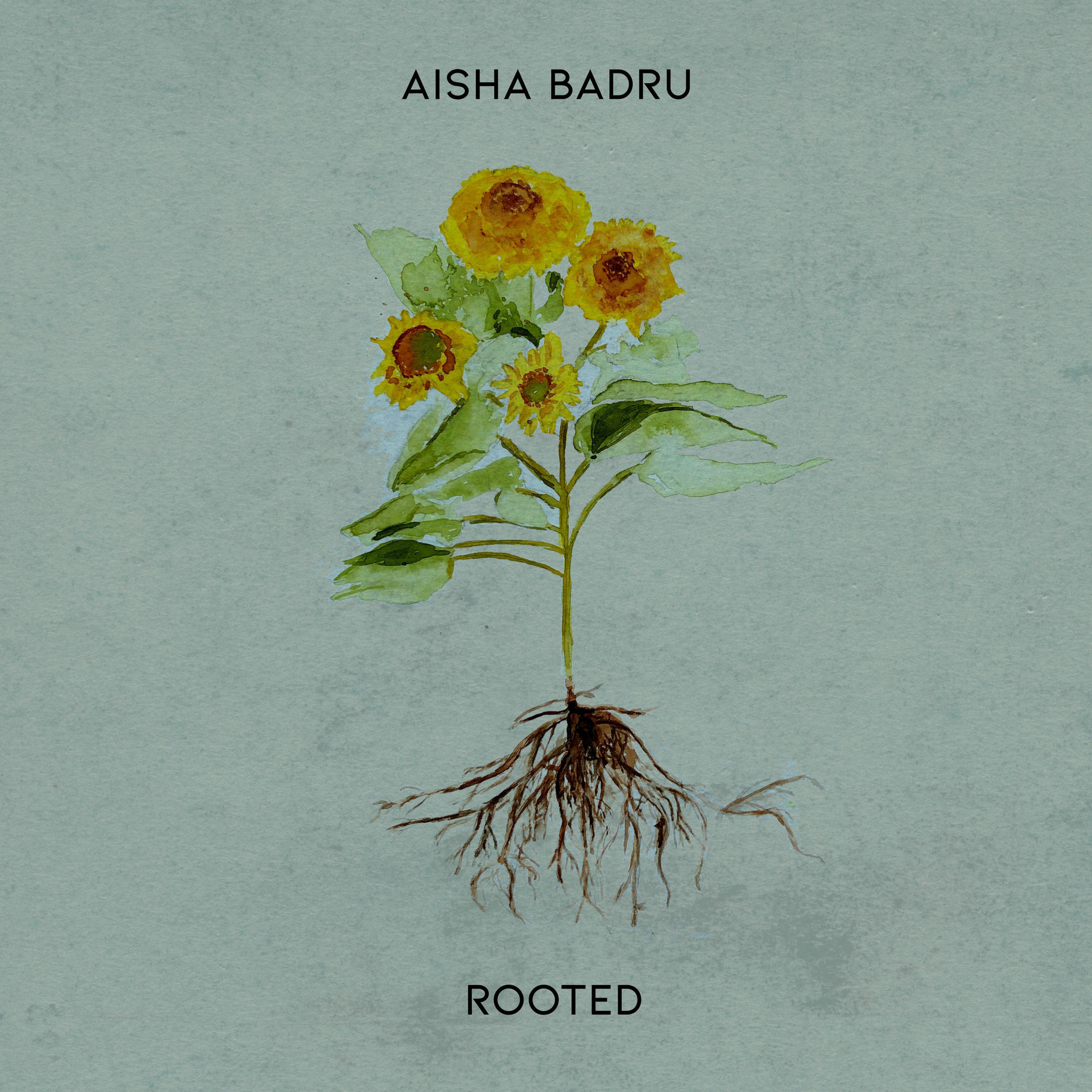 Album cover of Rooted