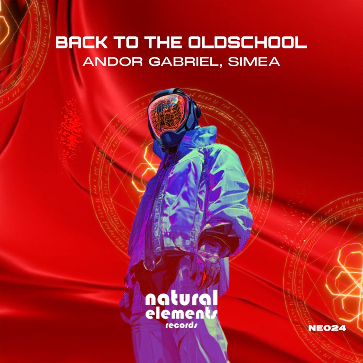 Album cover of Back to the Oldschool