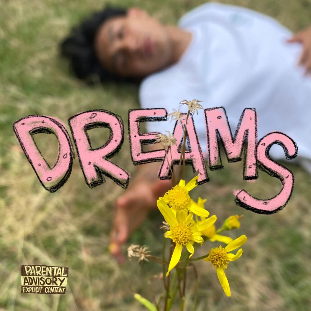 Picture of Dreams