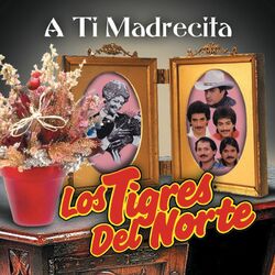Cover of A Ti Madrecita