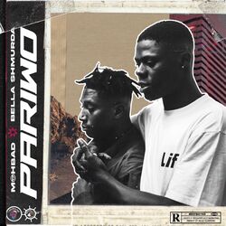 Cover of PARIWO