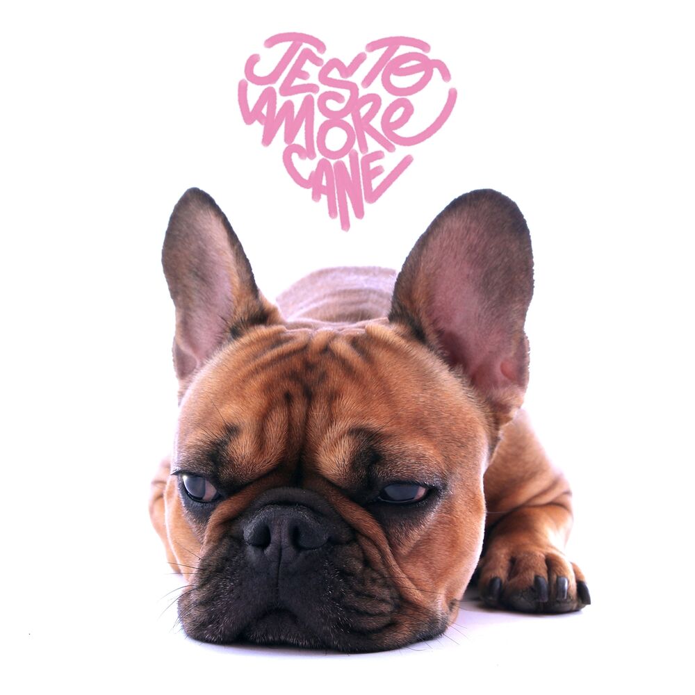 Picture of Amore cane