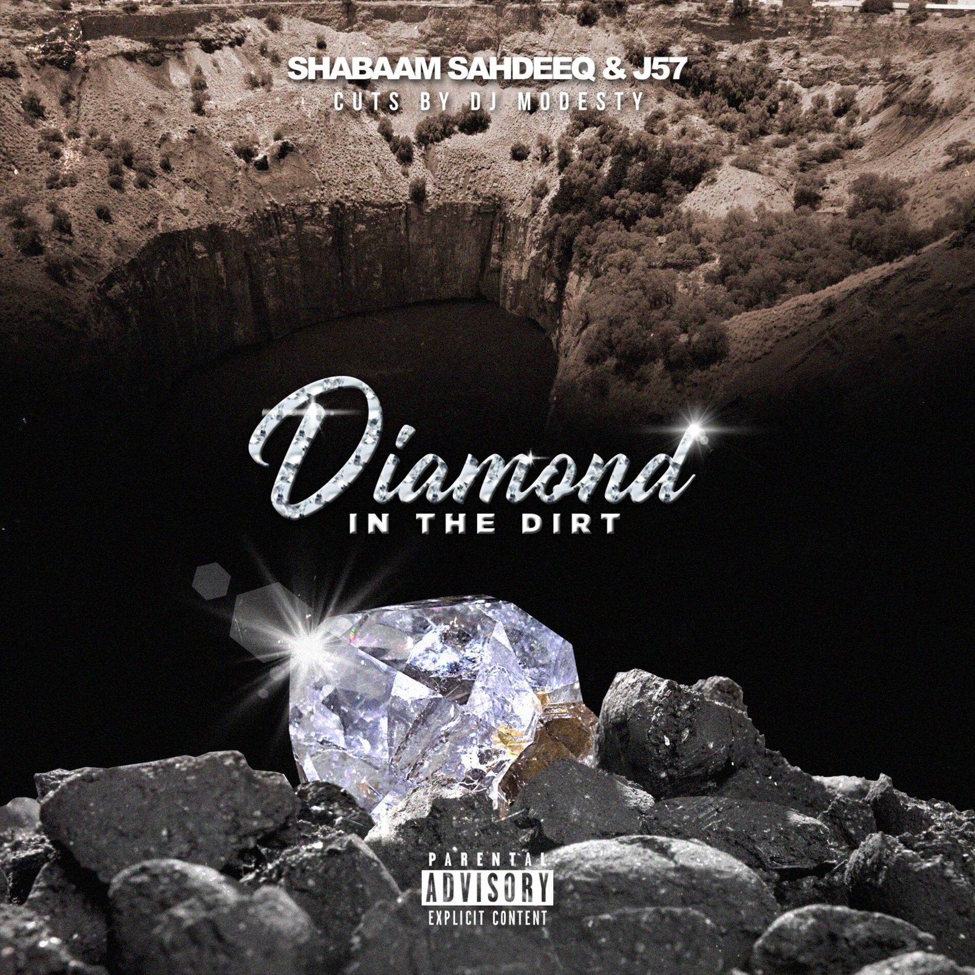 Album cover of Diamond in the Dirt