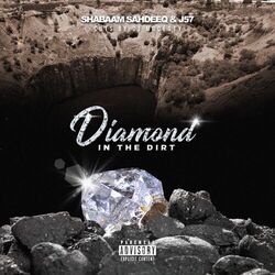 Cover of Diamond in the Dirt