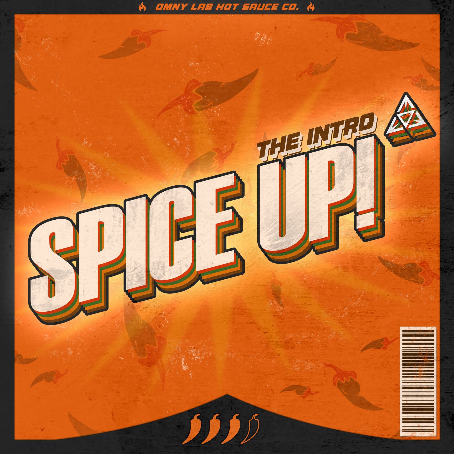 Album cover of The Intro