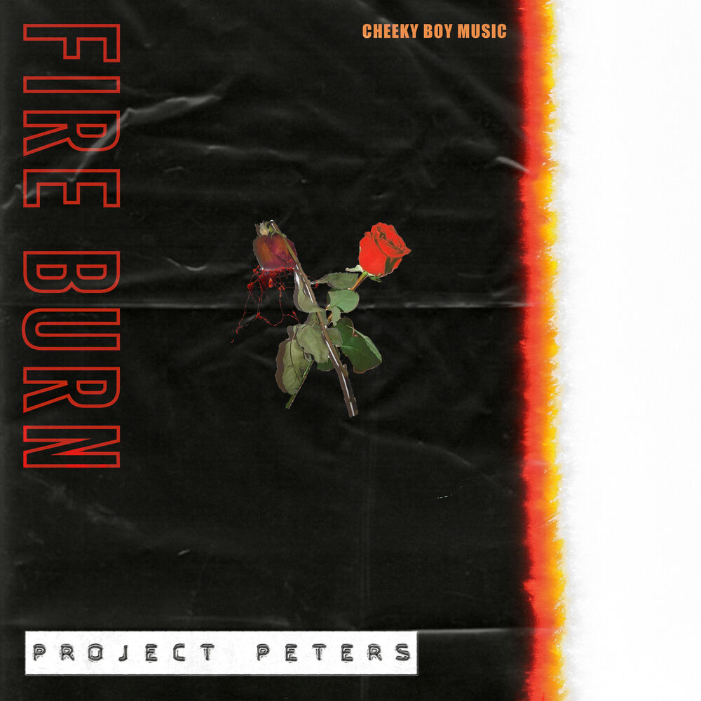 Picture of Fire Burn