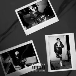 Cover of One Night Ting