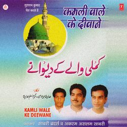 Cover of Kamli Wale Ke Diwane