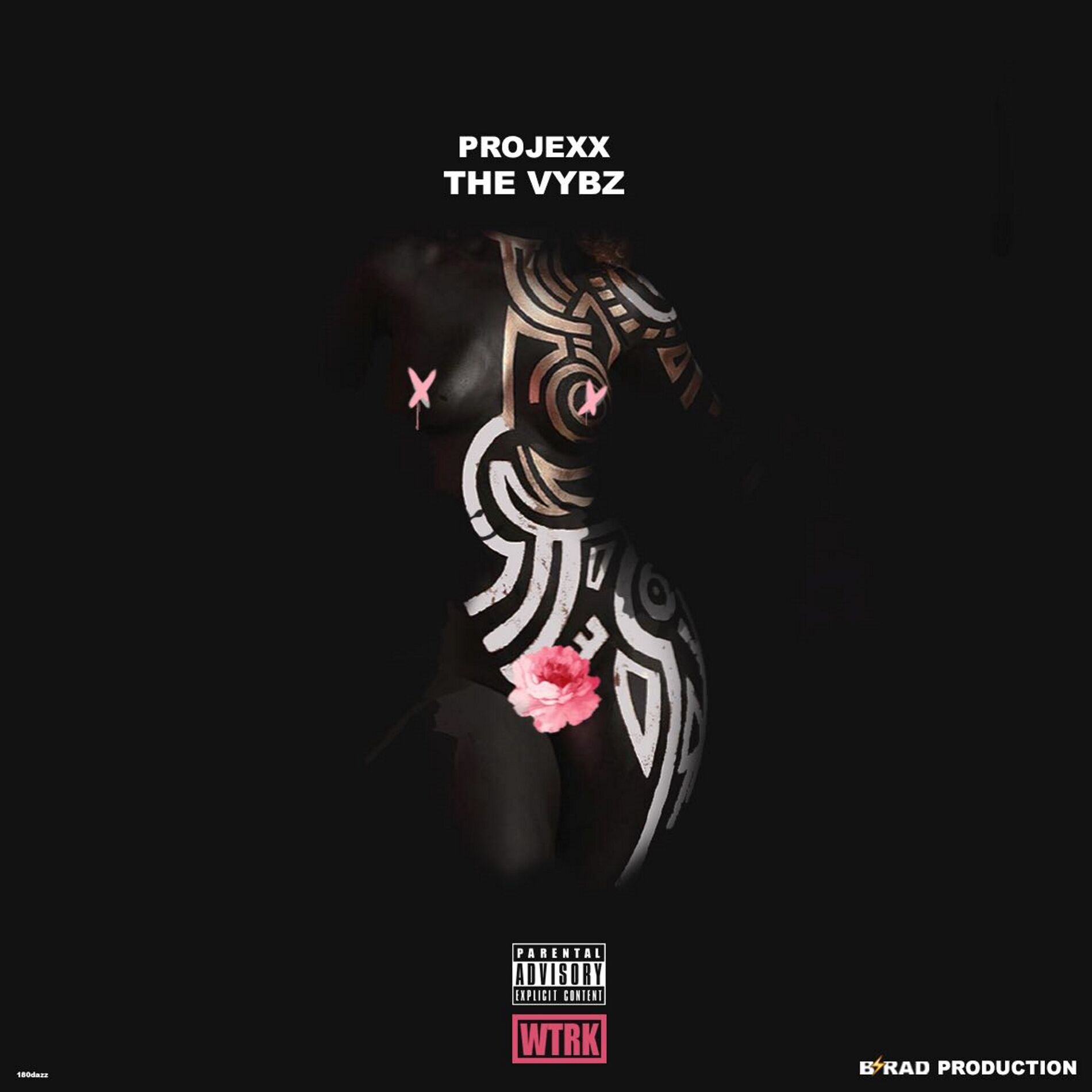 Album cover of The Vybz