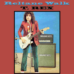 Cover of Reltane Walk
