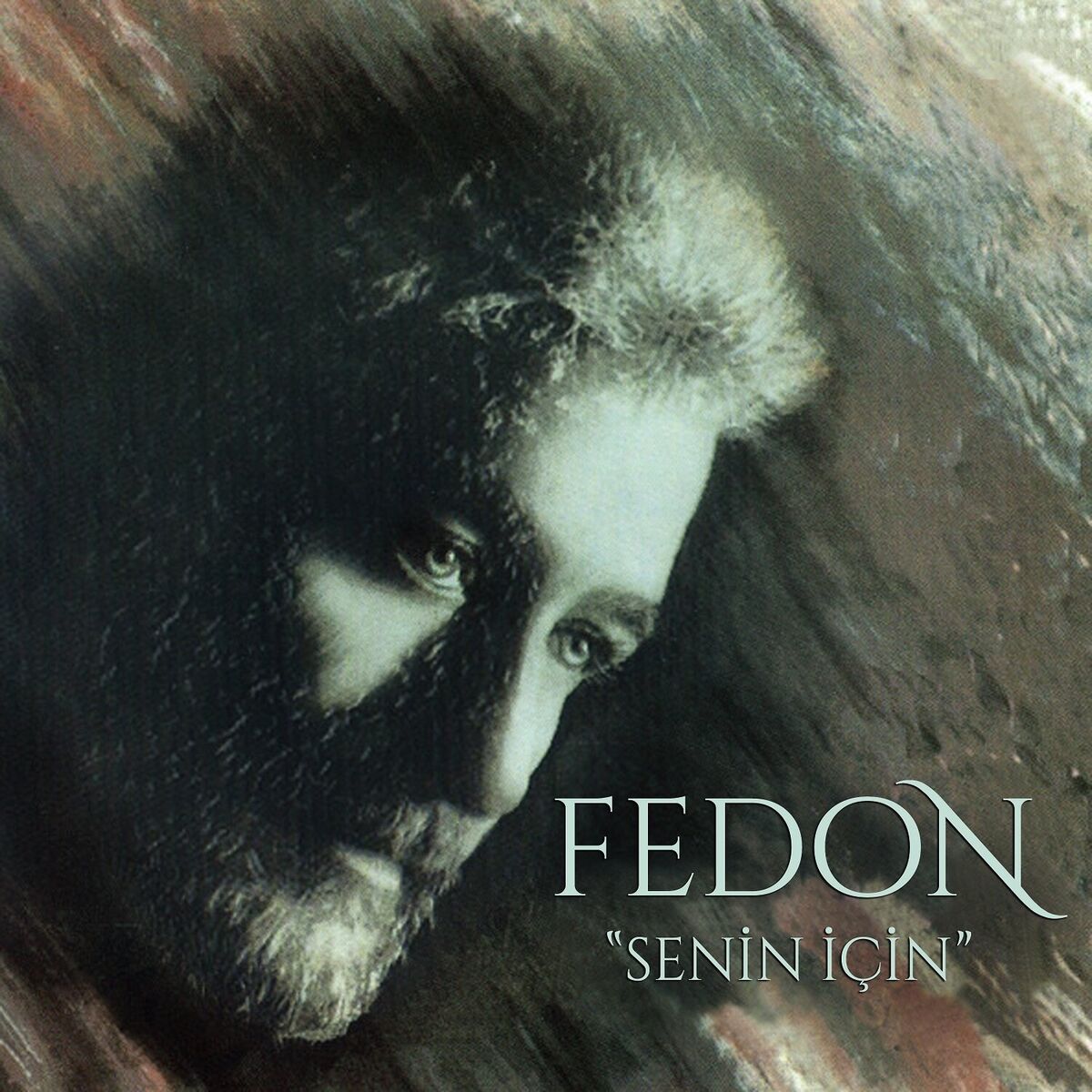 Album cover of Senin İçin