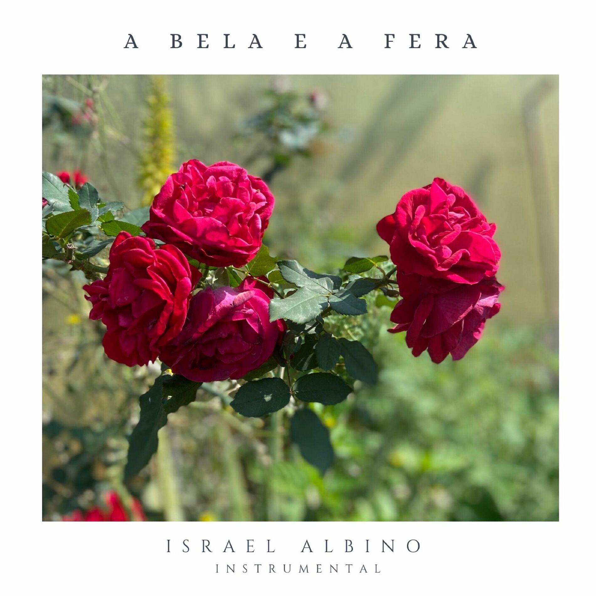 Album cover of A Bela e a Fera