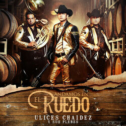 Cover of Andamos En El Ruedo