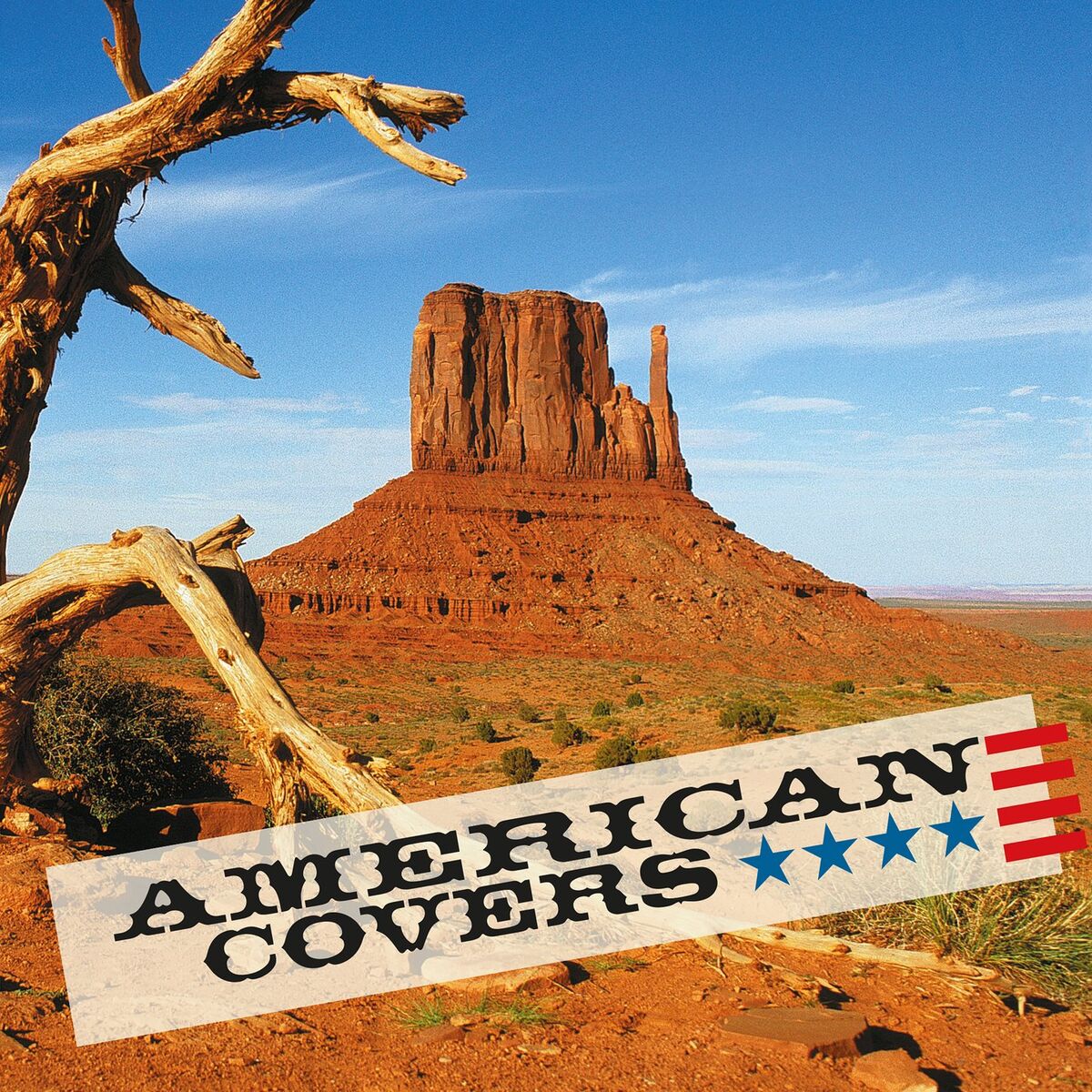 Album cover of American Covers