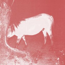 Cover of Woodall (Remixes)
