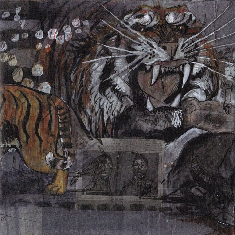 Picture of Fear of Tigers