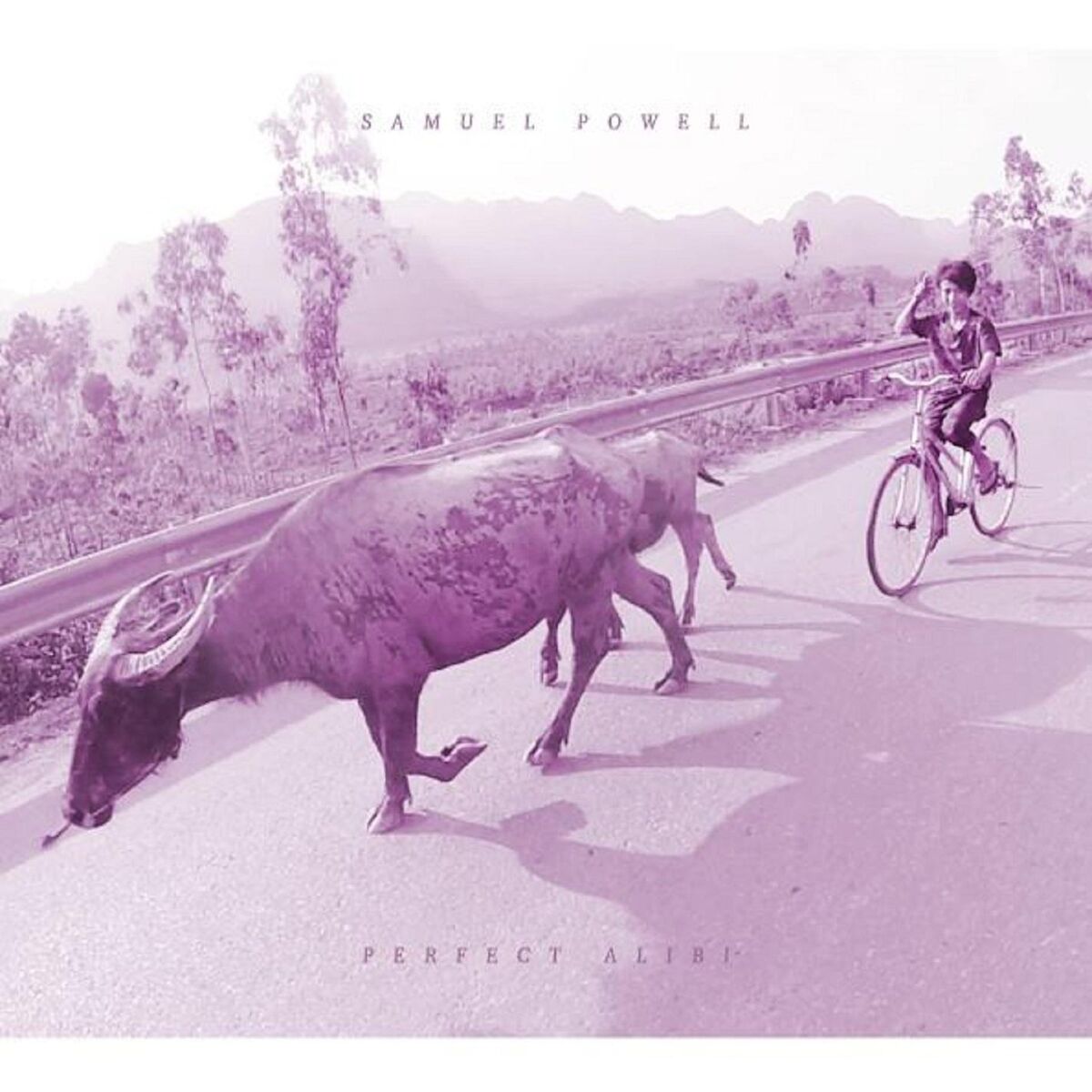 Album cover of Perfect Alibi