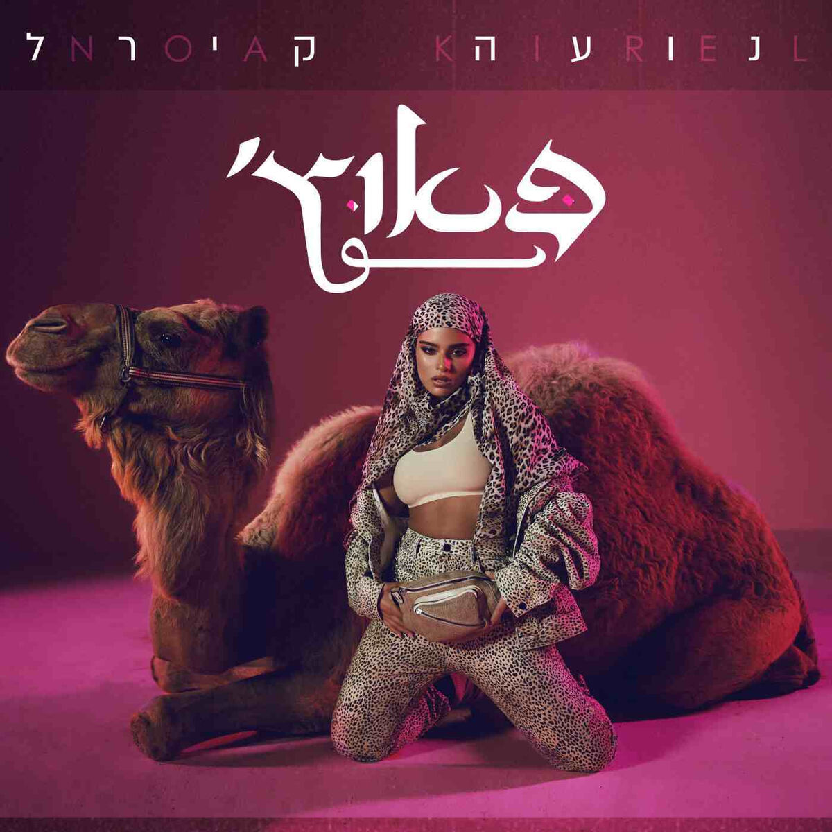 Album cover of פאוץ'