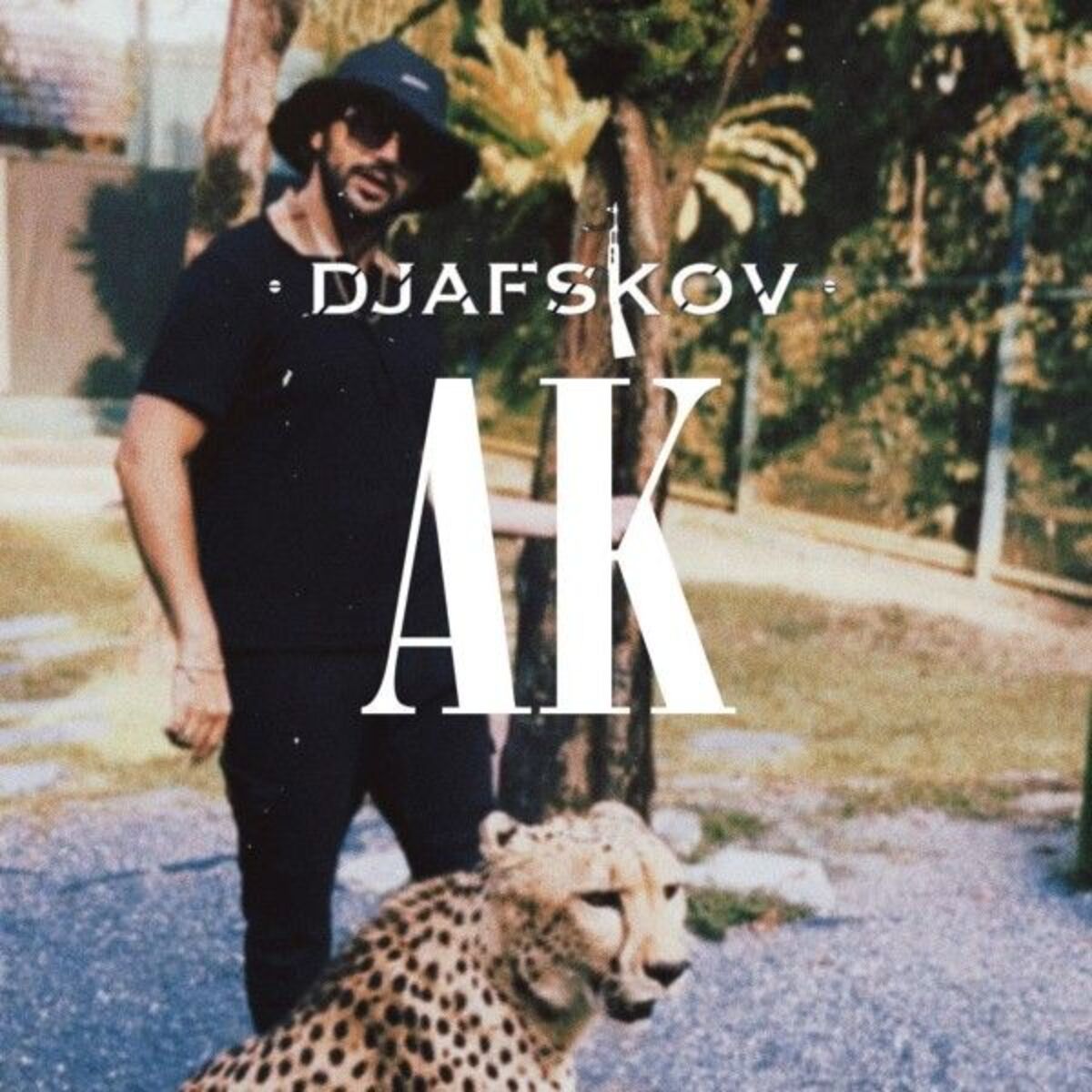 Album cover of AK