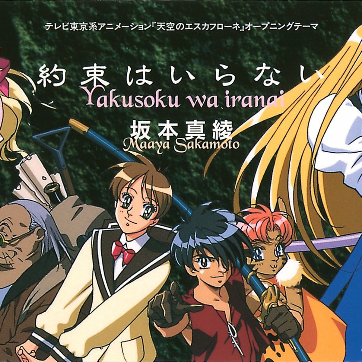 未開封　天空のエスカフローネ　THE VISION OF ESCAFLOWNE Amazon.com: The Vision of Escaflowne: The Complete Series