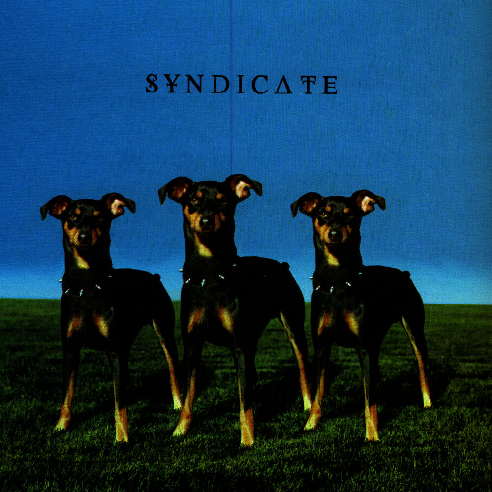 Picture of Syndicate
