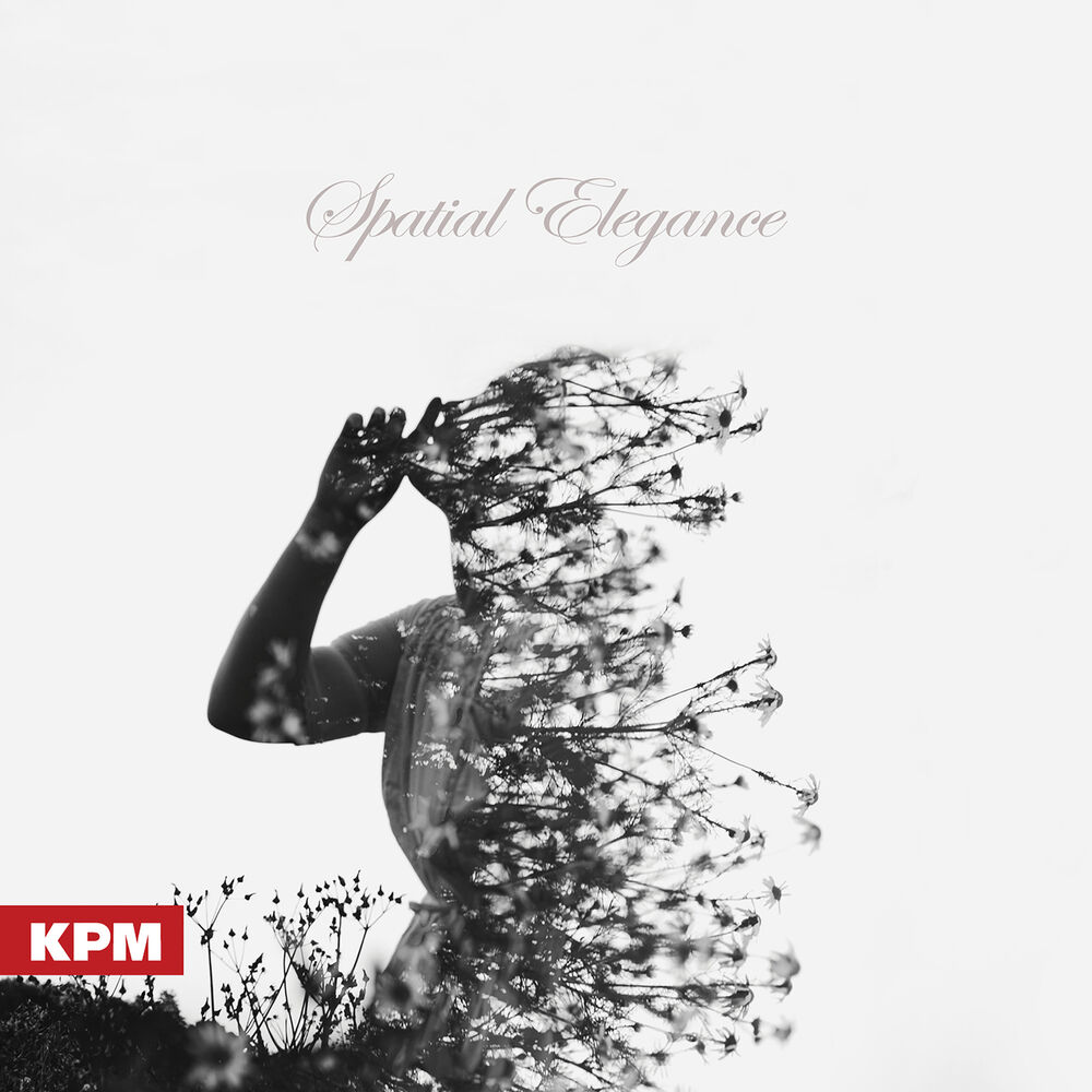 Picture of Spatial Elegance