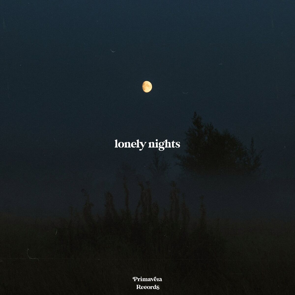 Album cover of Lonely Nights