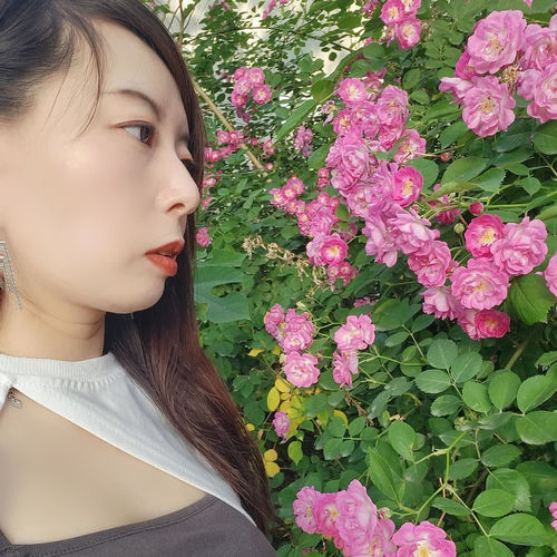 等爱归来