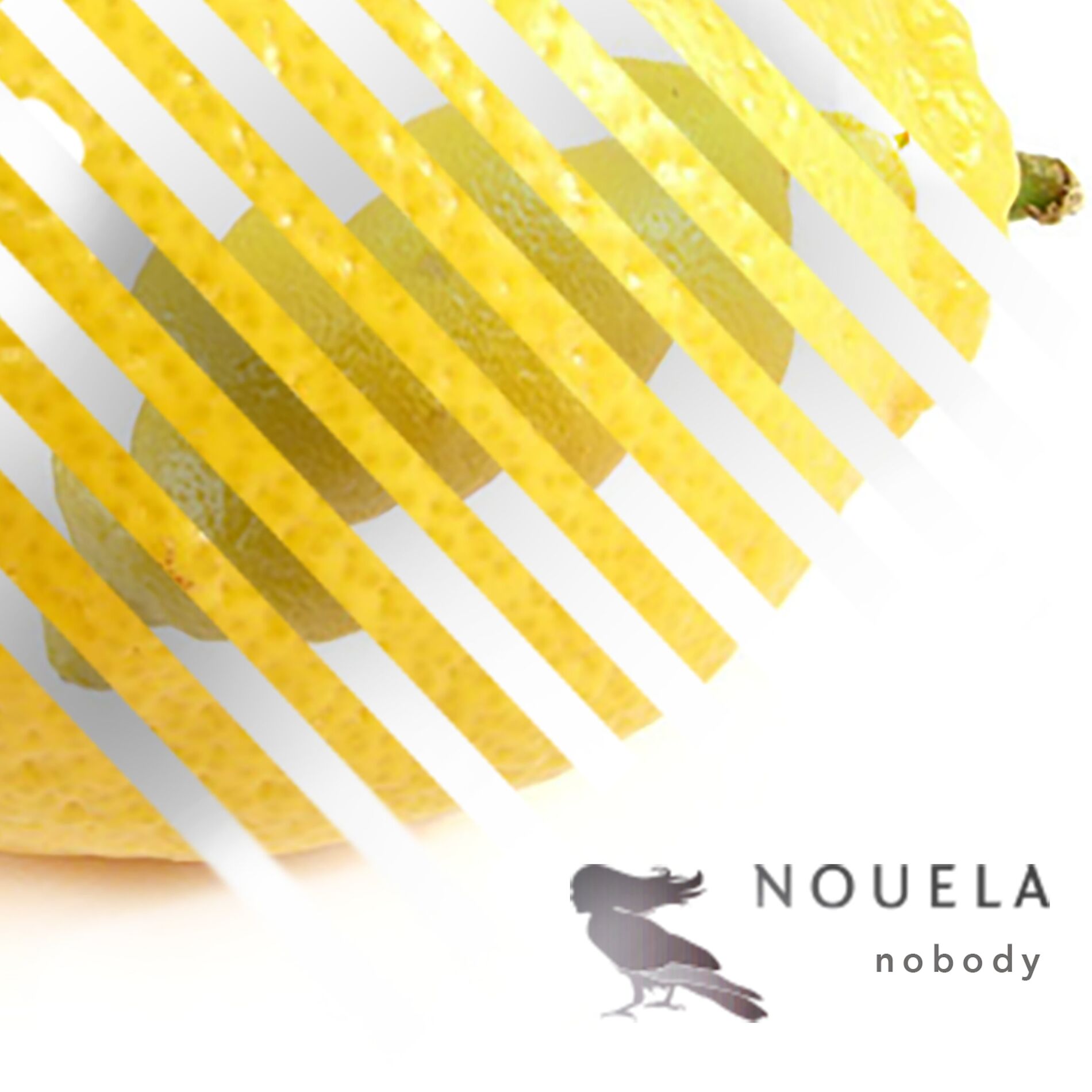 Album cover of Nobody