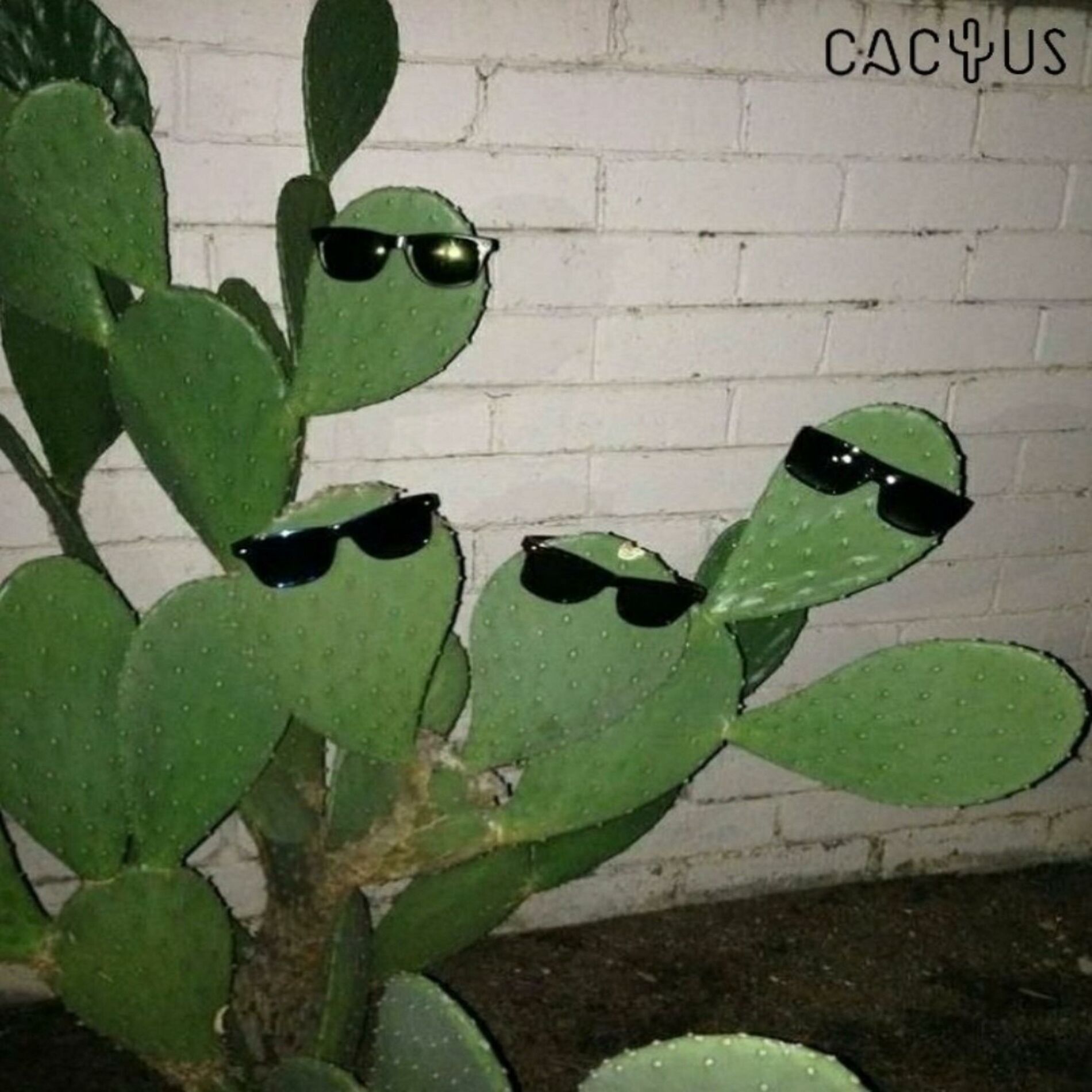 Album cover of ICON