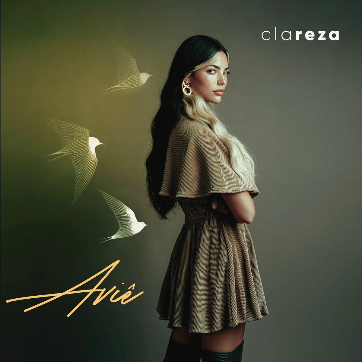 Album cover of Clareza