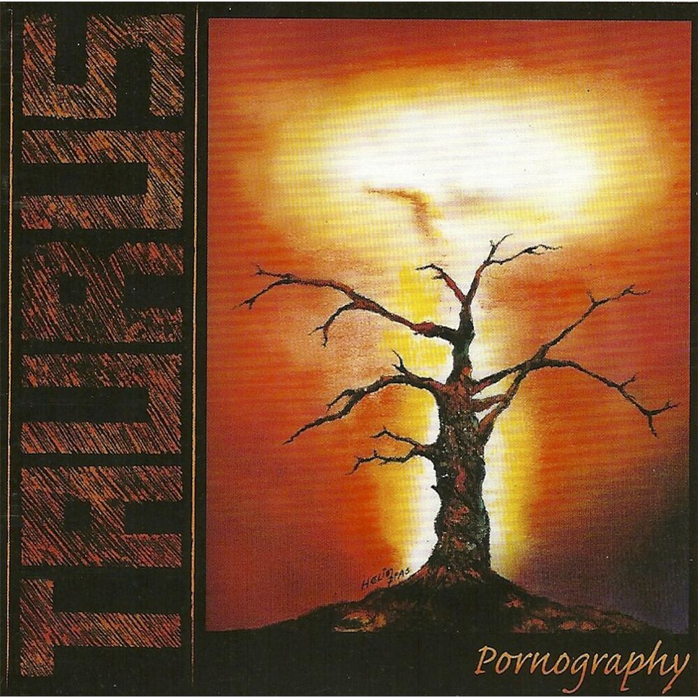 Picture of Pornography