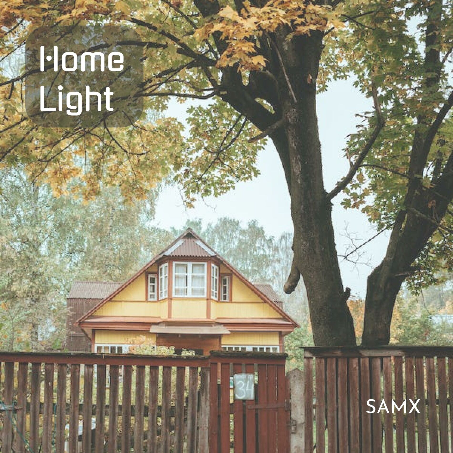 Album cover of Home Light