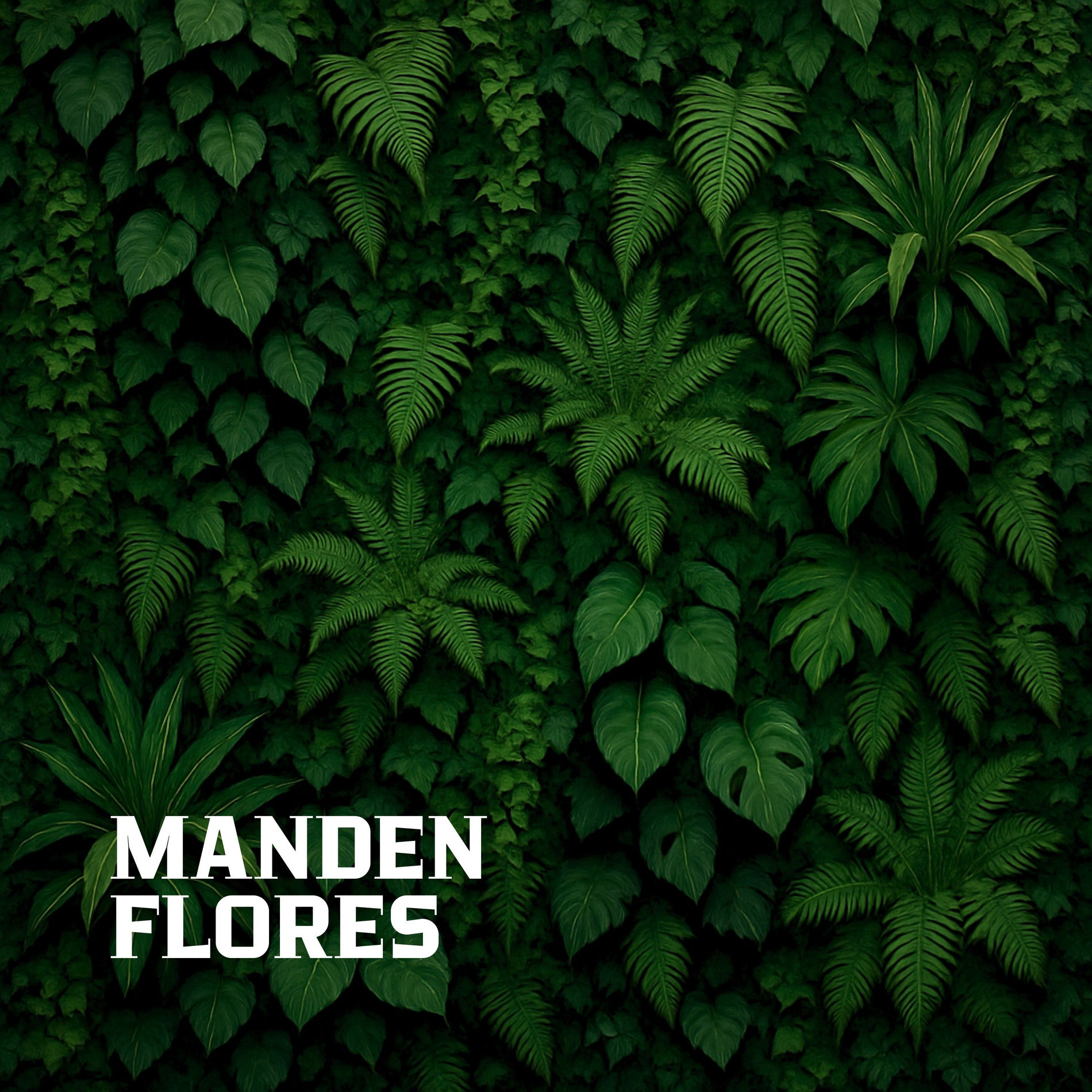 Album cover of Manden Flores