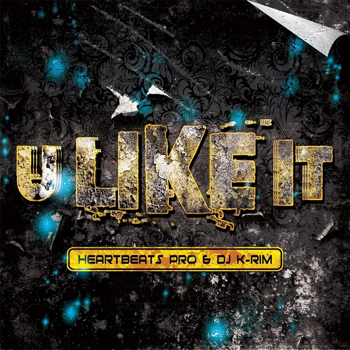 Album cover of U Like It
