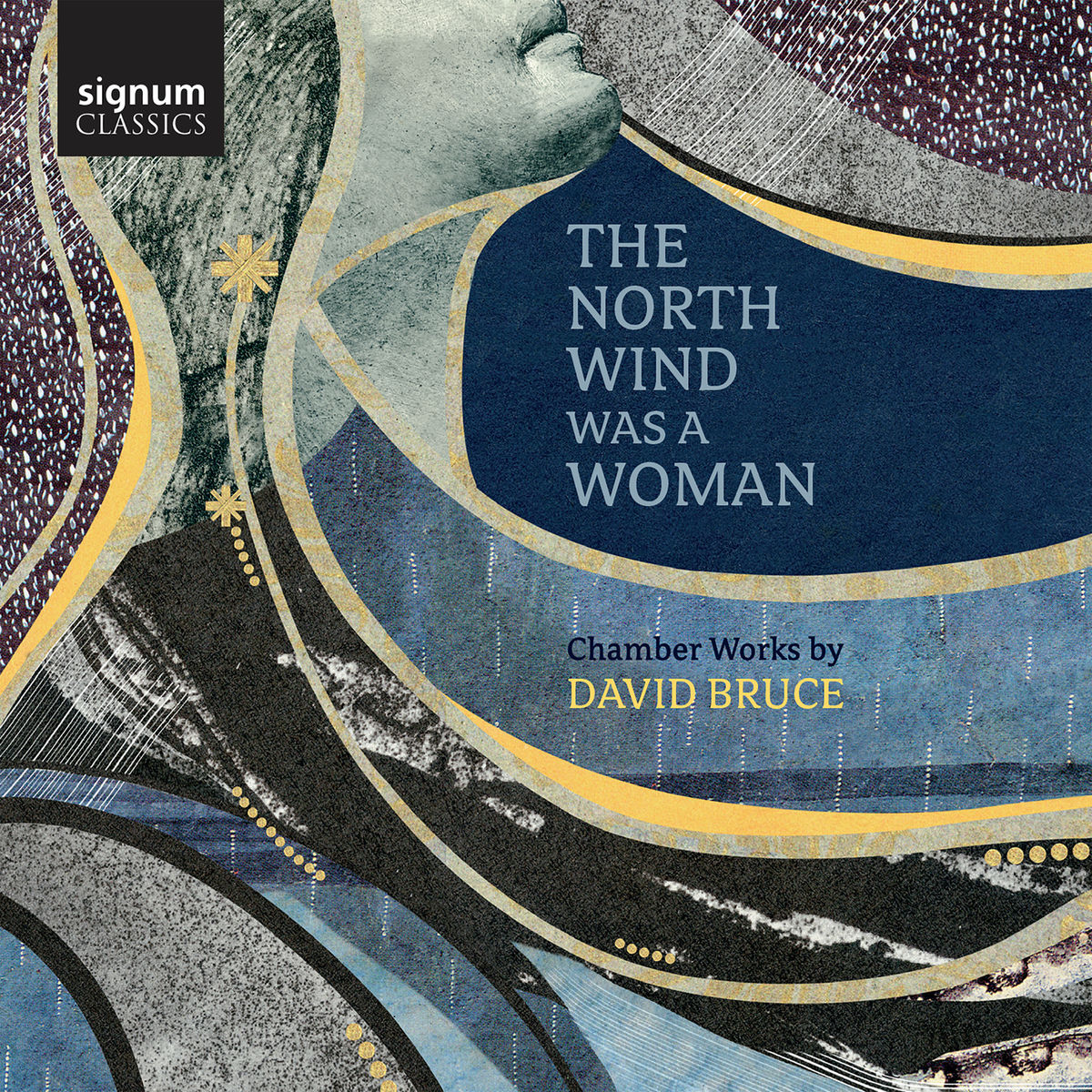 Album cover of David Bruce: The North Wind Was a Woman