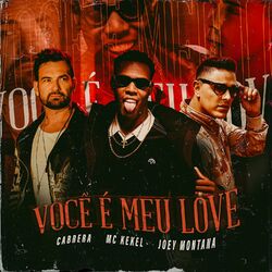 Cover of Você É Meu Love