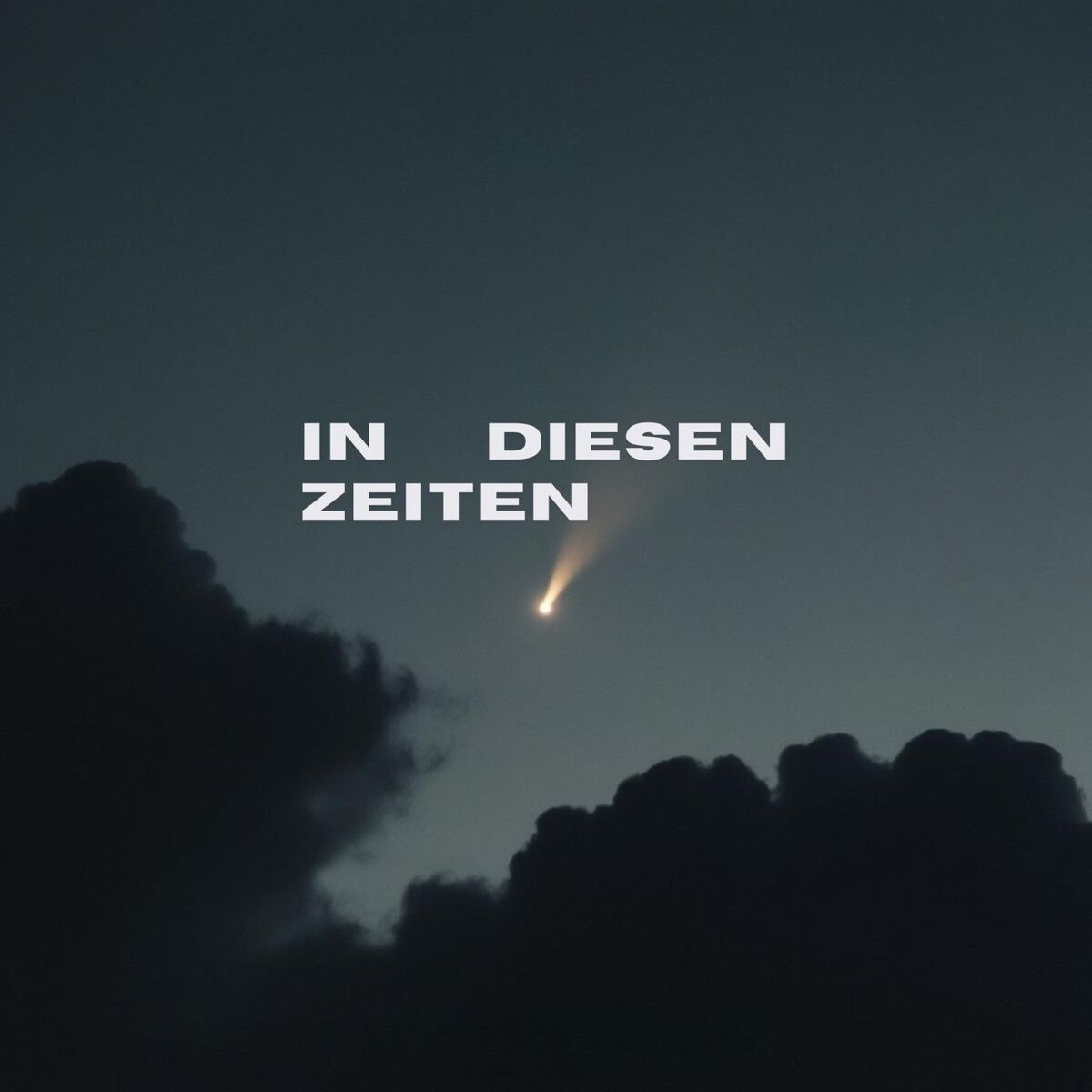 Album cover of In diesen Zeiten