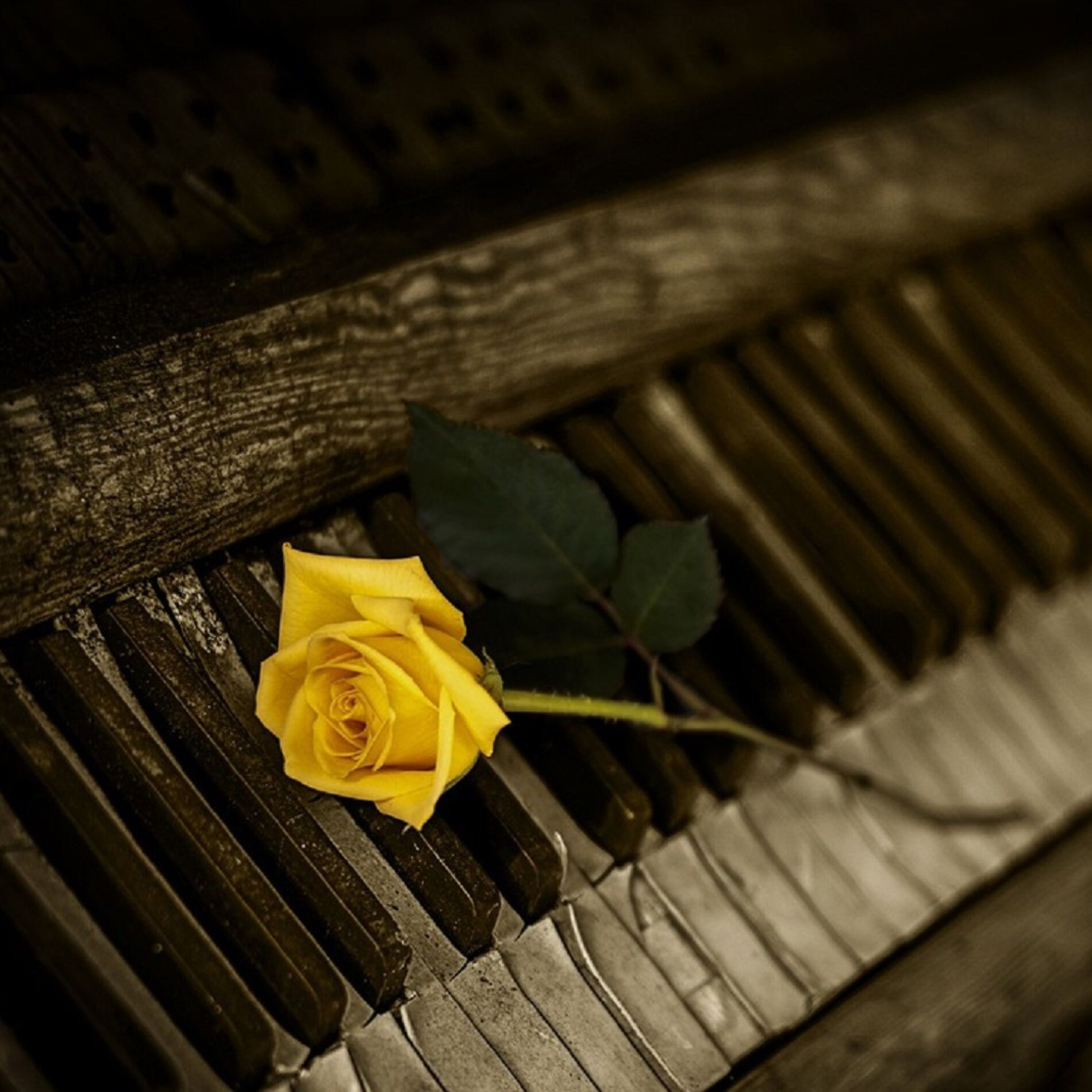 Album cover of Classical Music with a Pinch of Jazz