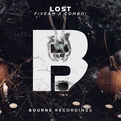 Cover of Lost