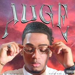 Cover of Auge