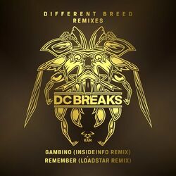 Cover of Gambino / Remember (InsideInfo Remix; Loadstar Remix)